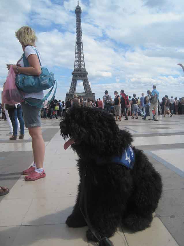 EDo de la Velerie -Chien Guide D'aveugle à Paris